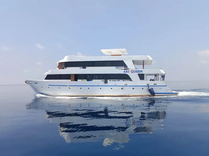 Malediivien sukellussafari (8-17.5.2026) 2.950€